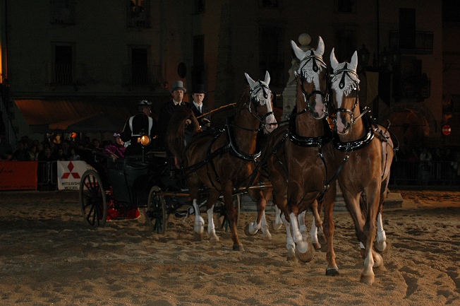 2006Leonessa (18)