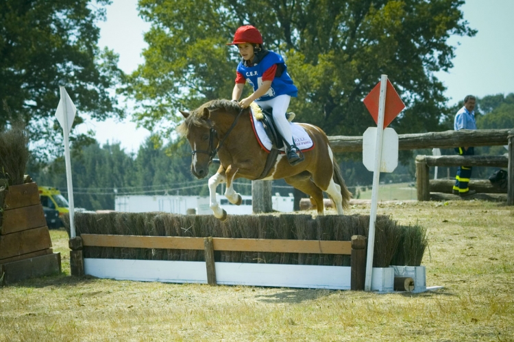 2007_poniadi_vda_403