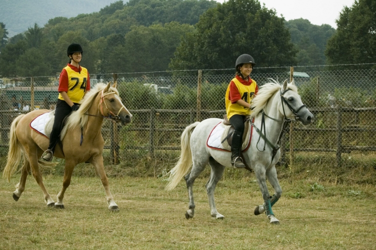 2007_poniadi_vda_407