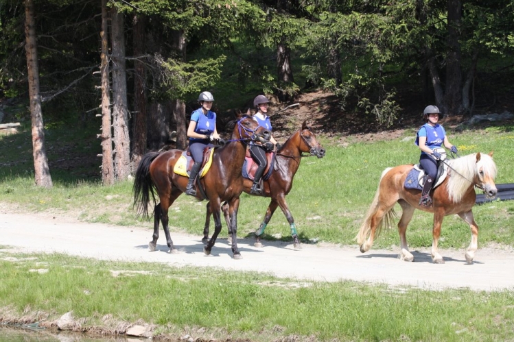 2010 Endurance Torgnon