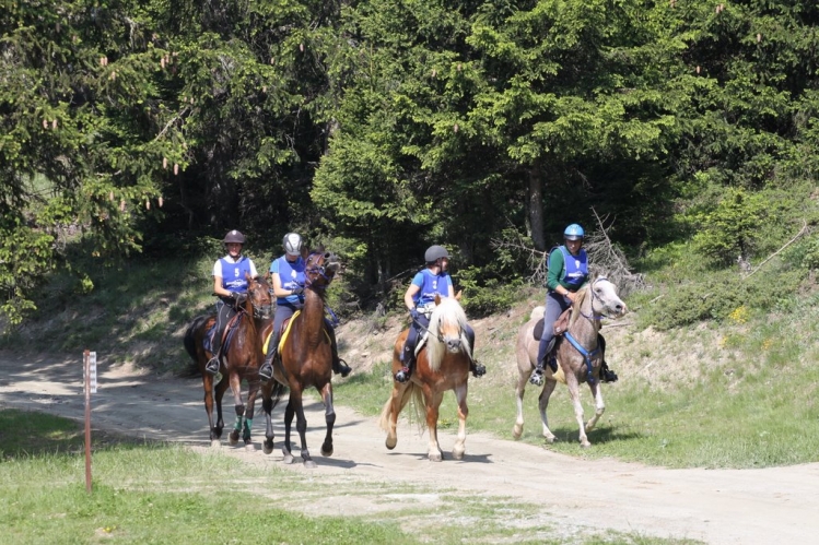 2010End_Torgnon_21