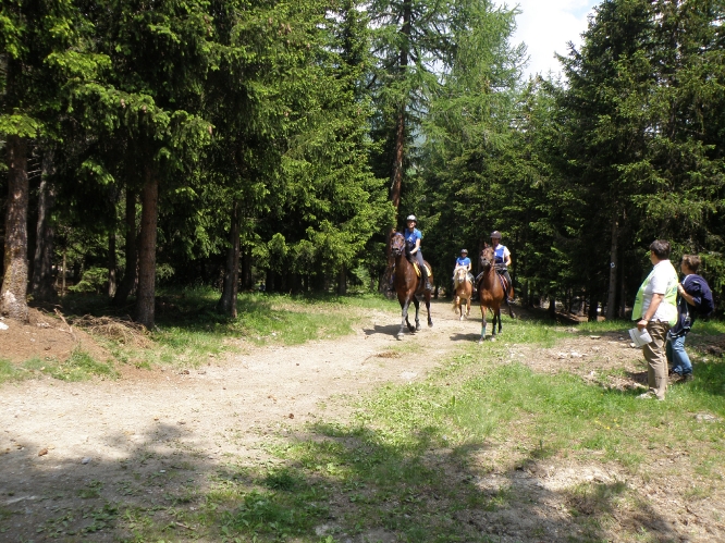 2010End_Torgnon_27