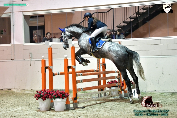 20181021Irys_ShangaiDelPioppeto