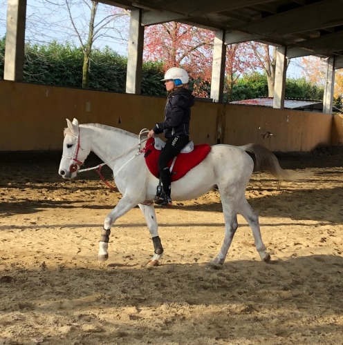 20181130AlessiaLutrissy