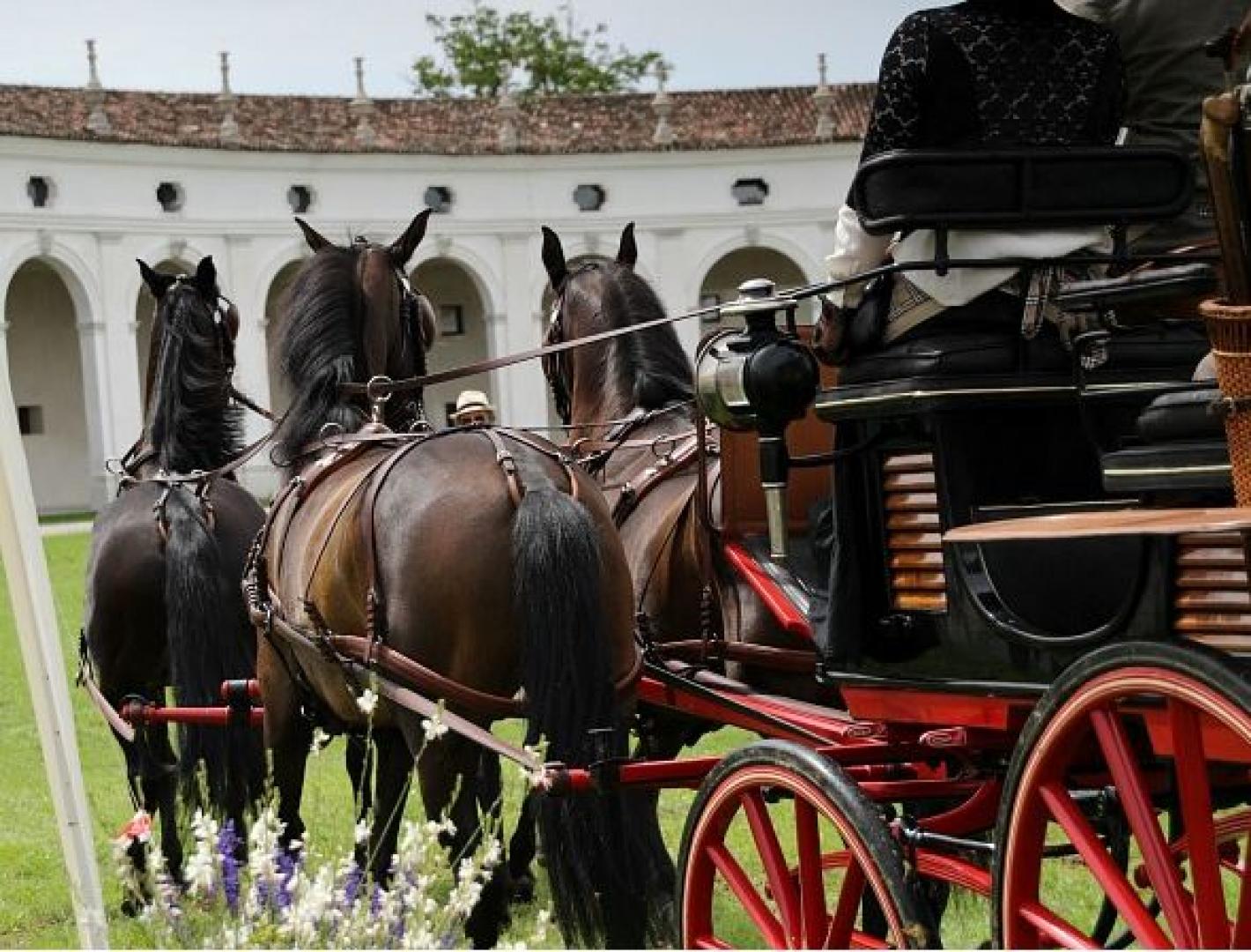 images/veneto/Attacchi/medium/foto_attacchi4_002.JPG