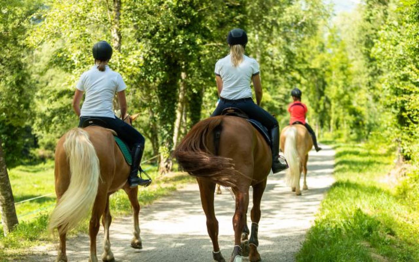 images/veneto/Campagna/medium/CAMPAGNA.jpg