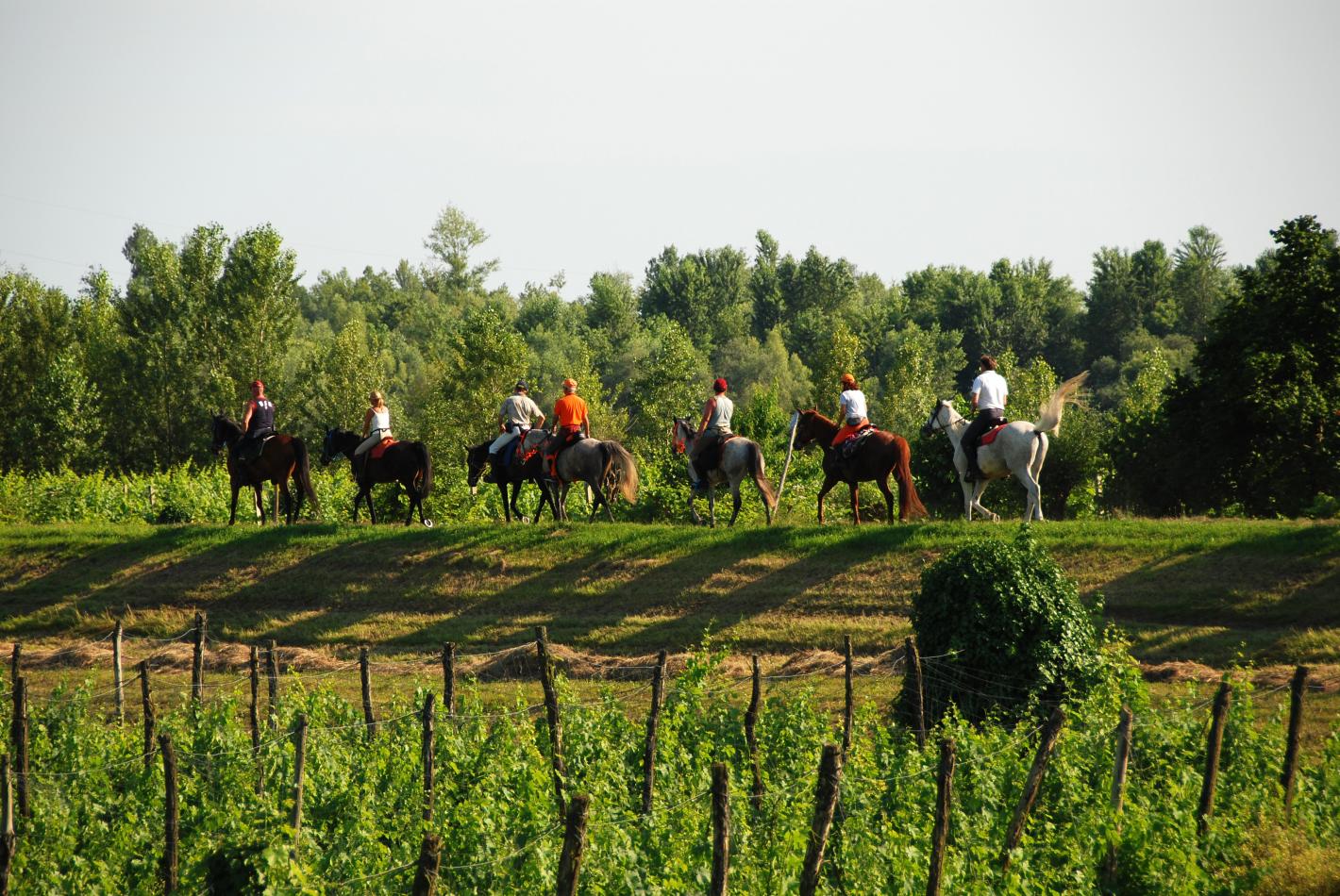 images/veneto/Campagna/medium/day_1_382.jpg