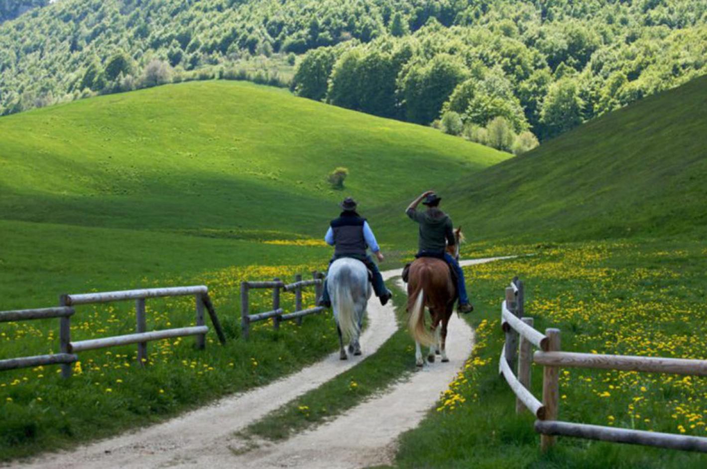 Federazione Italiana Sport Equestri Comitato Regionale Veneto