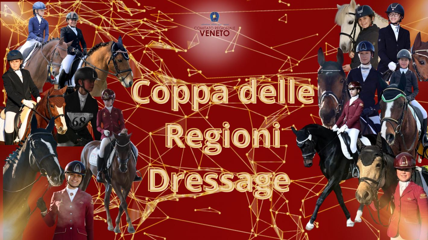 images/veneto/Dressage/medium/IMG_2483.jpg