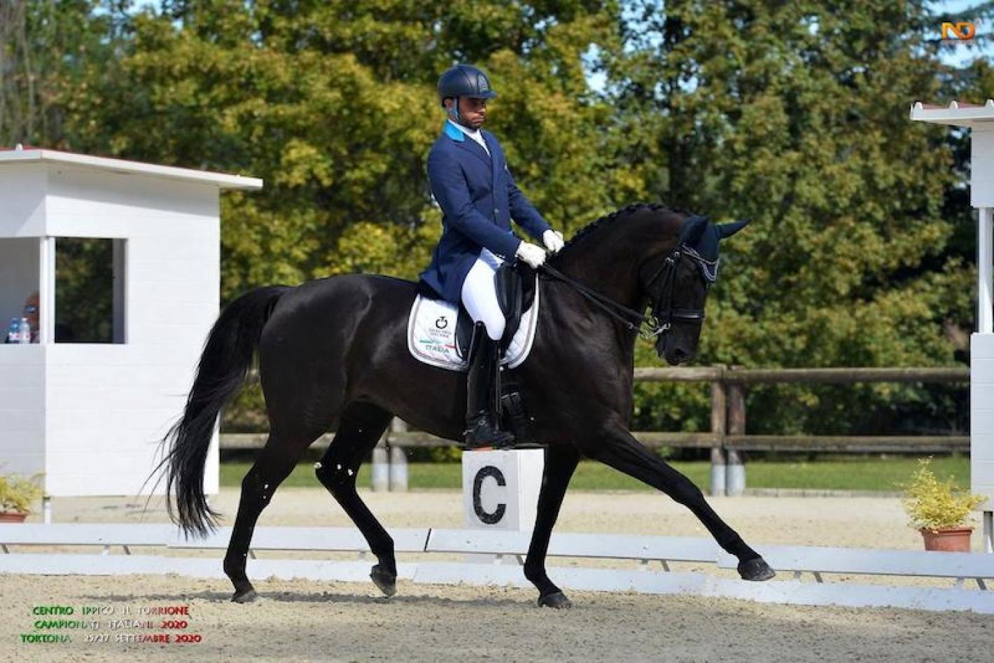 images/veneto/Dressage/medium/Zaza_whispering_Ndfotografie.jpeg