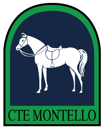 logo CTE