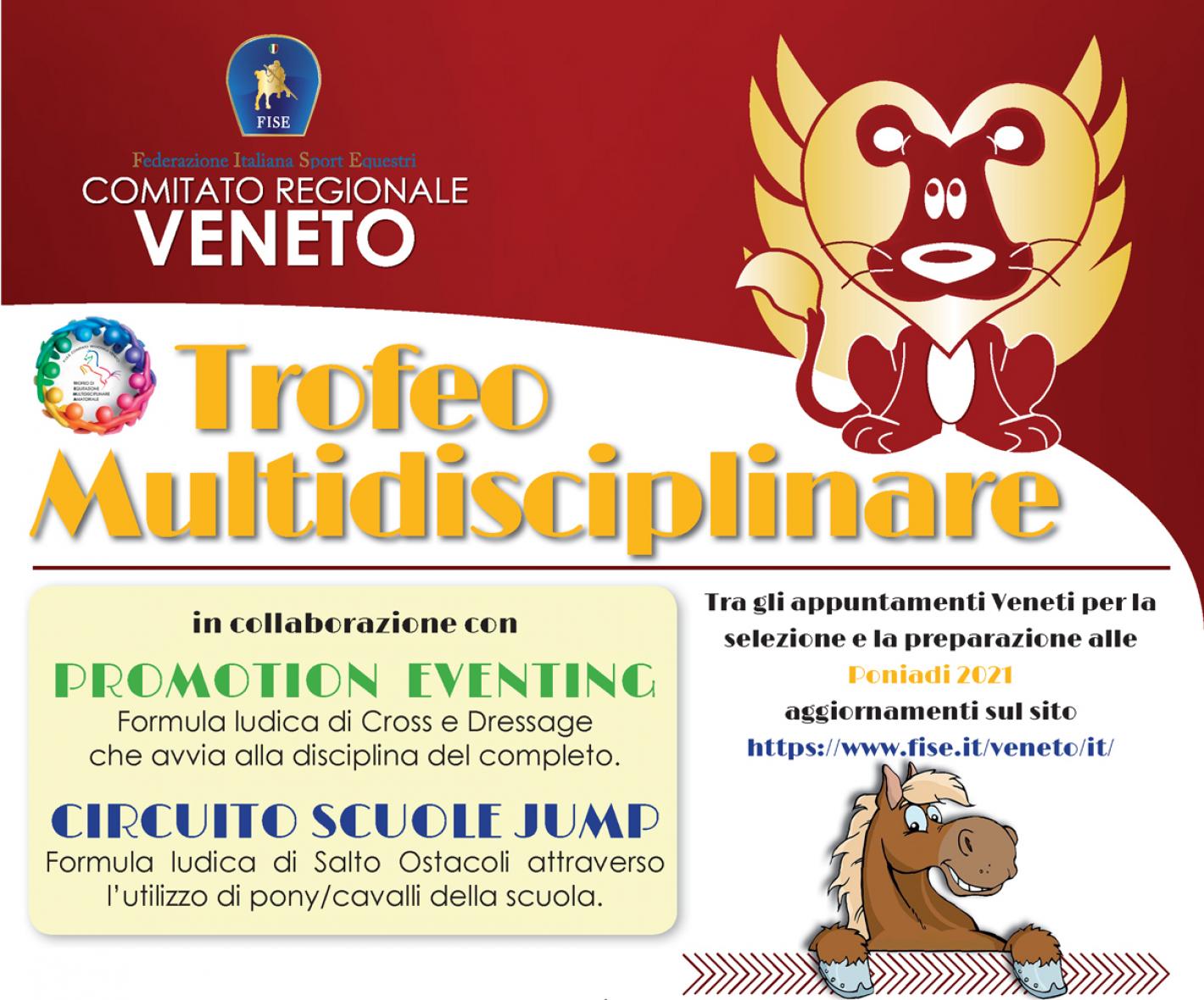 images/veneto/Multidisciplinare/medium/Multidisciplinare2021-short.jpg