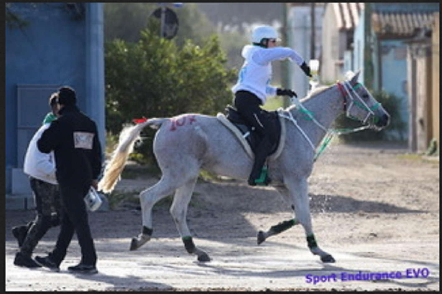images/veneto/Personaggio_del_mese/medium/sport_endu.PNG
