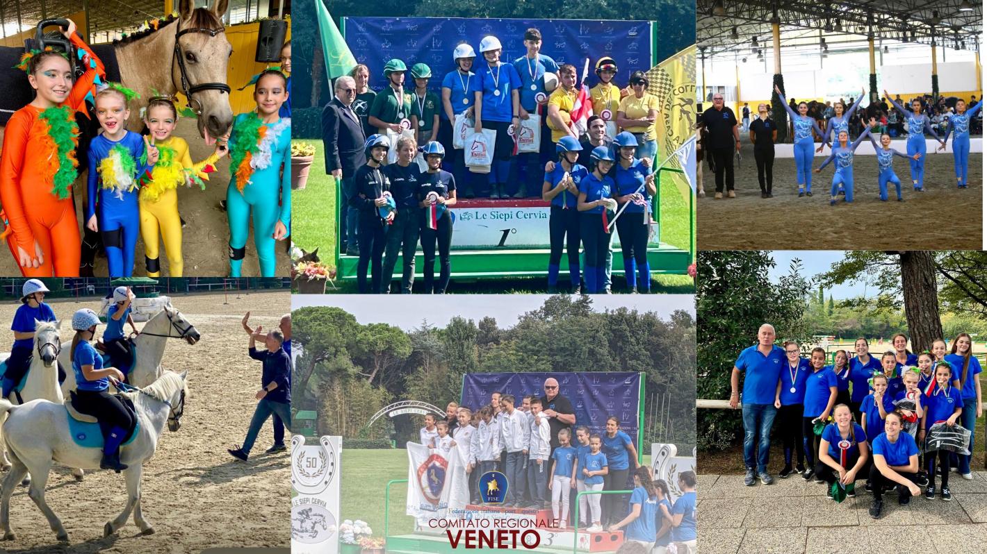 images/veneto/Pony/medium/Immagine1.jpg