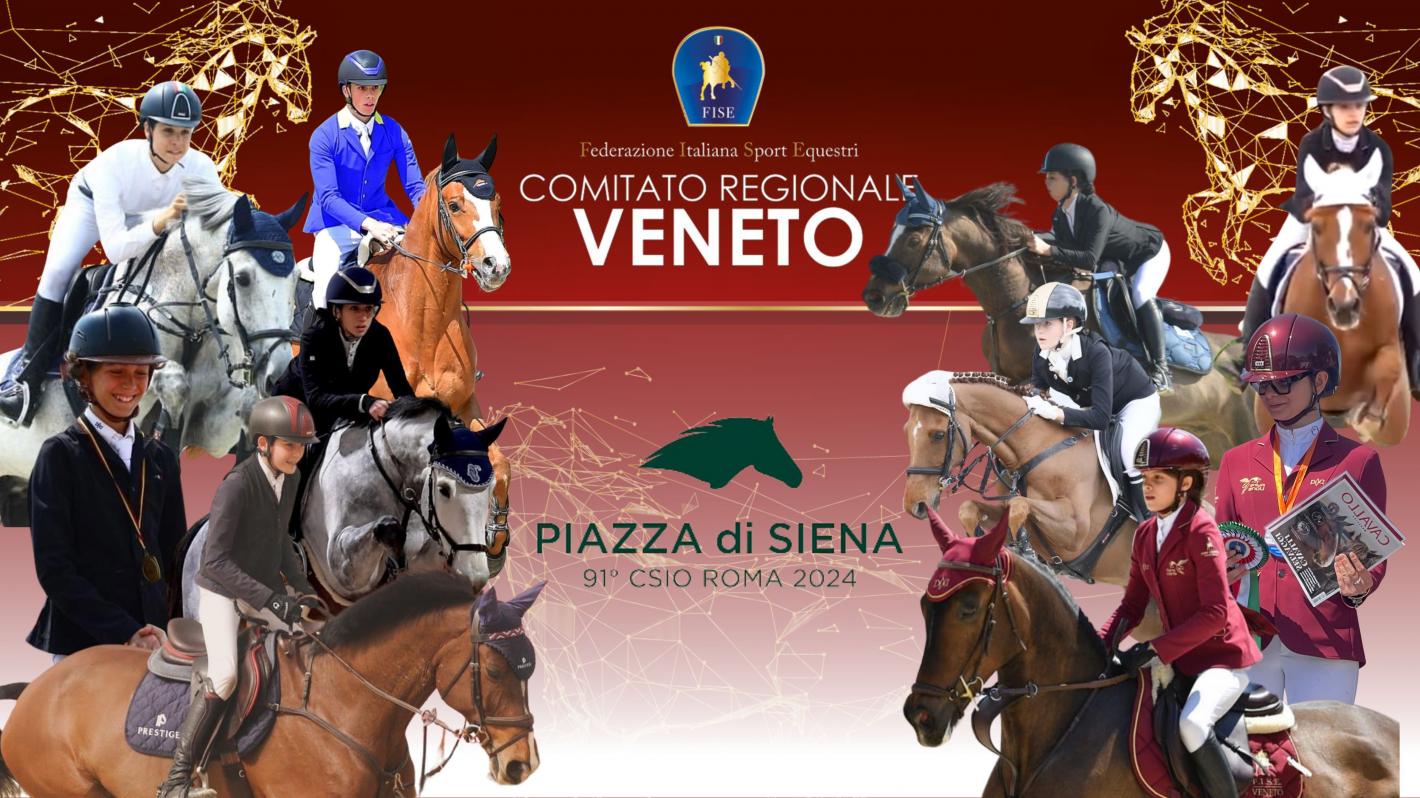 images/veneto/Salto_Ostacoli/medium/IMG_5631.jpg