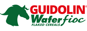 Guidolin