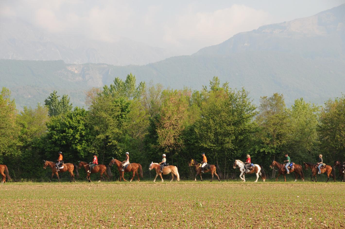 images/veneto/medium/Campagna.JPG