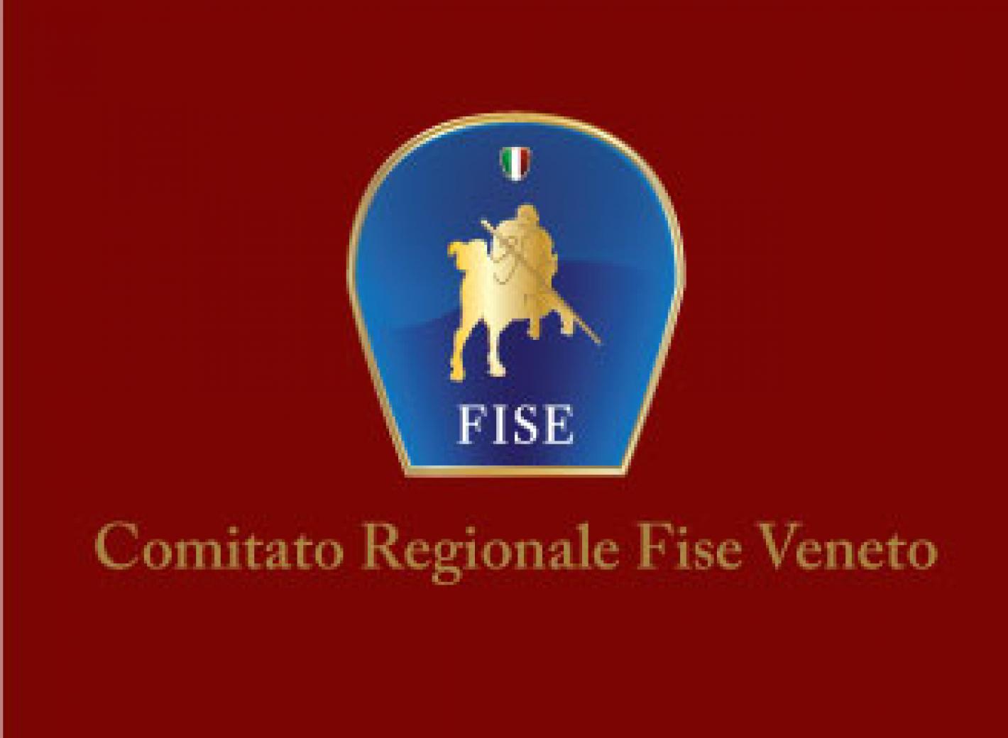 images/veneto/medium/FISE_VENETO_LOGO_newsite.jpg