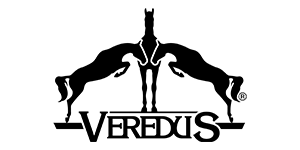 Logo Verudus